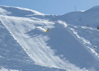 Sunderland Vs Sheffield Wed: Who Will Dominate This Thrilling Clash?