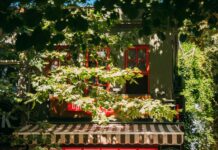 107 Sheffield Avenue: Discover The Hidden Gem In Your Dream Neighbourhood