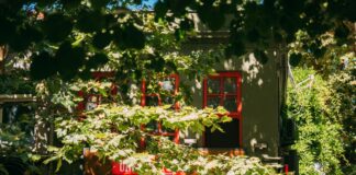 107 Sheffield Avenue: Discover The Hidden Gem In Your Dream Neighbourhood