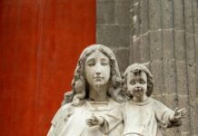 Mary Sheffield Detroit: Why Is She Transforming The City’s Future?