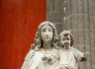 Mary Sheffield Detroit: Why Is She Transforming The City’s Future?