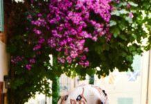 Sheffield At Englewood South: Discover The Hidden Local Gem Today