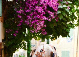 Sheffield At Englewood South: Discover The Hidden Local Gem Today