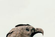 Giant Eagle Sheffield OH: Discover The Ultimate Shopping Experience!