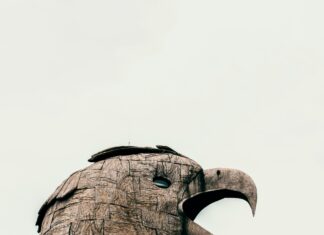 Giant Eagle Sheffield OH: Discover The Ultimate Shopping Experience!