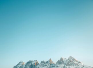 Sheffield Wednesday Vs Sunderland: Who Will Triumph In This Epic Clash?