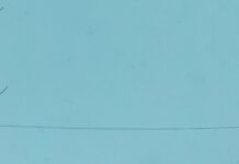 Weather Sheffield AL: Discover Surprising Climate Facts You Need