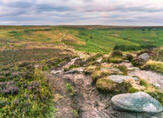 Hotels In Sheffield UK: Discover Top Hidden Gems For Your Stay