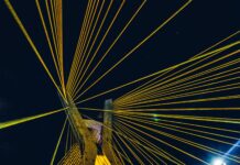 Sheffield Avenue Secrets: Why Everyone Is Talking About This Iconic Street