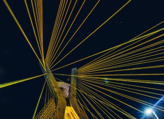 Sheffield Avenue Secrets: Why Everyone Is Talking About This Iconic Street