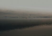 Amber Oaks Sheffield Lake Ohio: Discover Hidden Gems and Charm