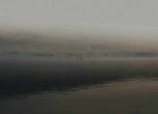 Amber Oaks Sheffield Lake Ohio: Discover Hidden Gems and Charm