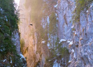 Sheffield Lake OH Secrets: Discover Hidden Gems and Local Wonders