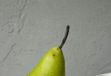 Sheffield Place Secrets: Why This Spot Is a Must-Visit Gem