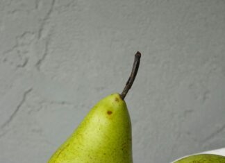 Sheffield Place Secrets: Why This Spot Is a Must-Visit Gem