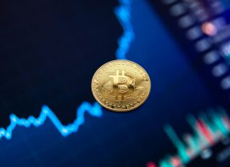 Sheffield Fund Secrets Revealed: How To Maximise Your Investments